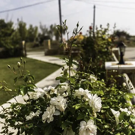 Апартаменты Afrodite